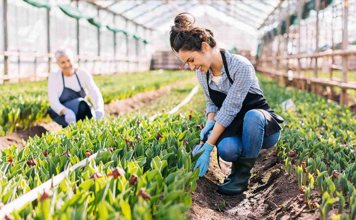 single-img-seventeen